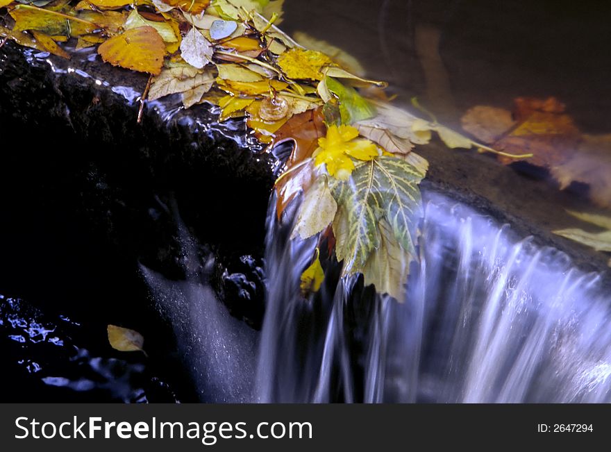 Small autumn waterfall with leaves flowing over the bank