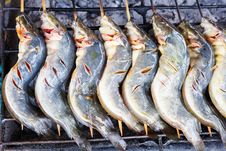 Grilled Fish Royalty Free Stock Photo Grilled Fish Royalty Free Stock Photo