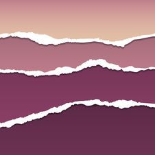 Vector Tear Paper Stock Photo Vector Tear Paper Stock Photo