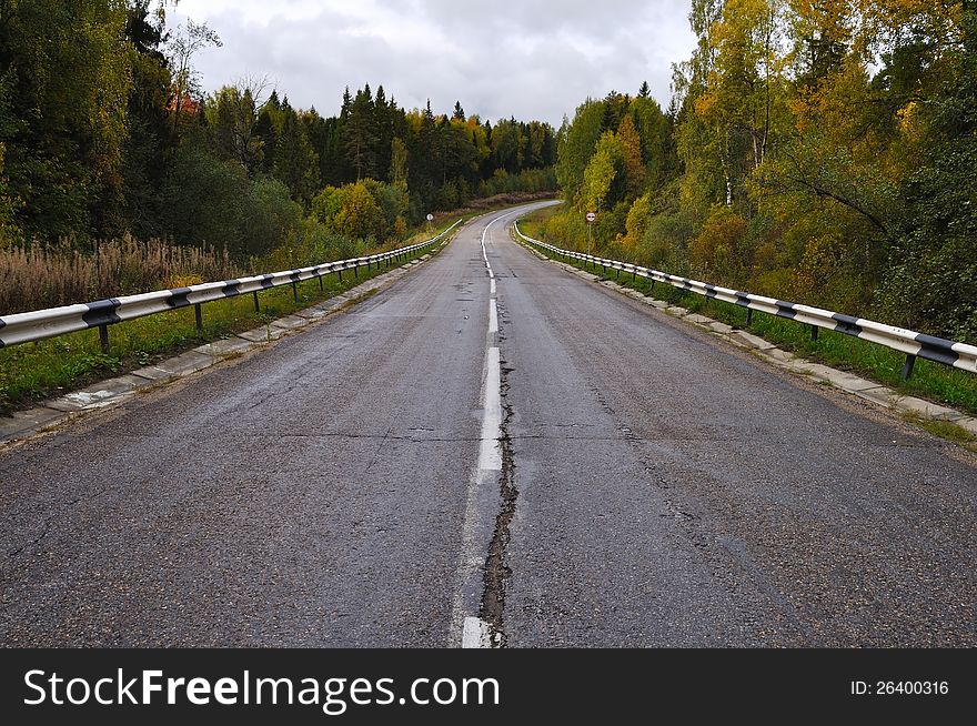 Asphalt road in autumn forest