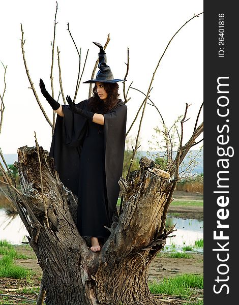 Halloween Witch hid in a hollow tree, and preparing new villainy