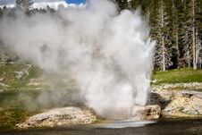 Riverside Geyser At Yellowstone National Park Royalty Free Stock Photography