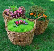 Beautiful Basket Of Flowers Stock Image Beautiful Basket Of Flowers Stock Image