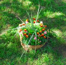 Beautiful Basket Of Flowers Stock Image Beautiful Basket Of Flowers Stock Image