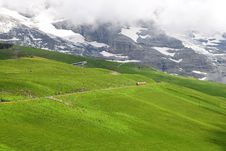 Train In Swiss Alps. Royalty Free Stock Photo Train In Swiss Alps. Royalty Free Stock Photo