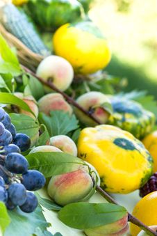 Fresh Fruits And Vegetables Stock Image Fresh Fruits And Vegetables Stock Image