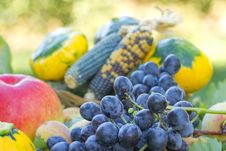 Fruits And Vegetables Royalty Free Stock Photo