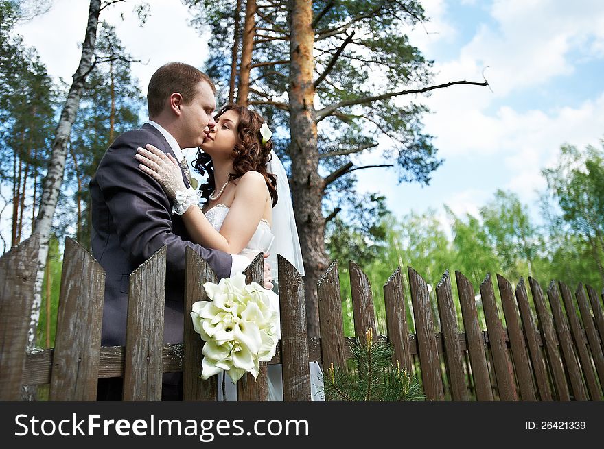 Kiss bride and groom about wooden fence near forest