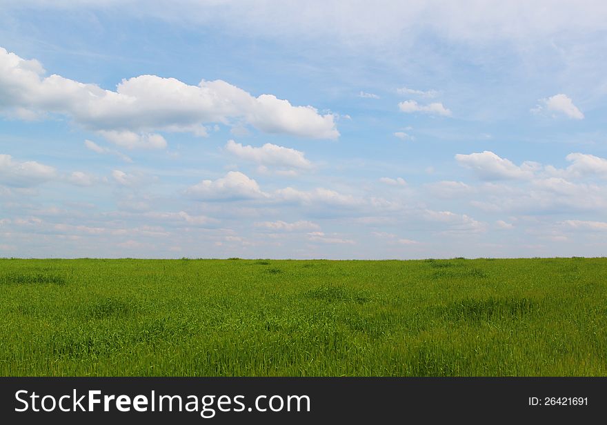 Green Field And Blue Sky