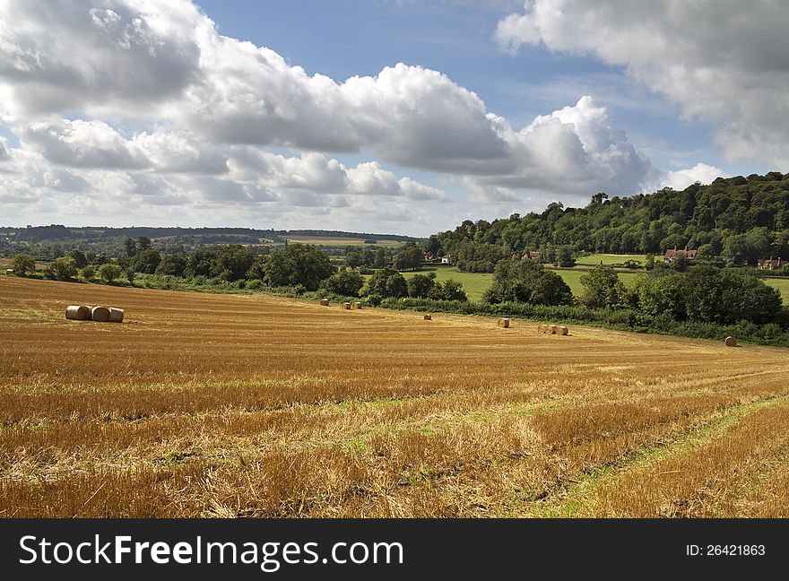 An English Rural Landscape in the Chiltern Hills