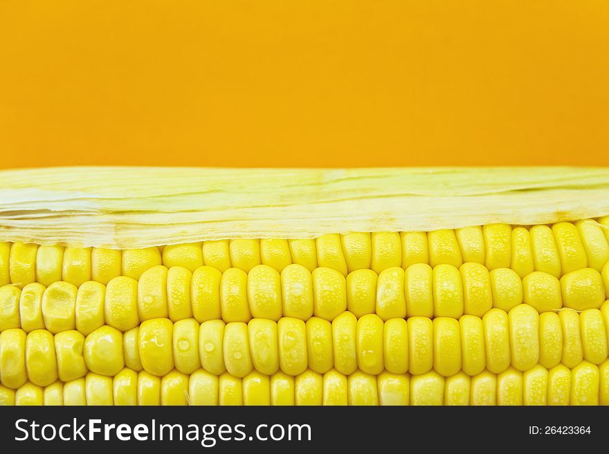 Close up image of corn background