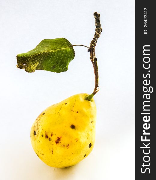 One yellow pear with dry leaf