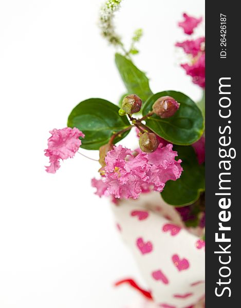 Bouquet of pink crepe myrtle isolated on a white background