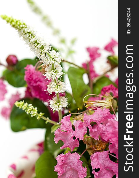 Bouquet of pink crepe myrtle isolated on a white background