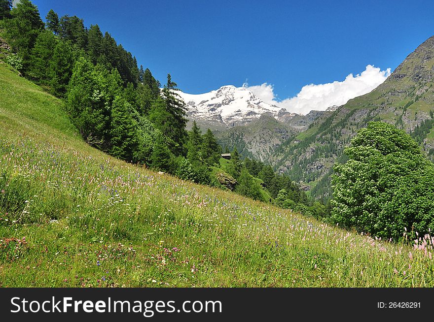 The second highest mountain in Europe: Monte Rosa. Gressoney, Aosta Valley, Italy. The second highest mountain in Europe: Monte Rosa. Gressoney, Aosta Valley, Italy