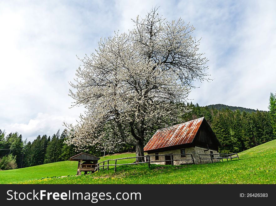 Scenic view on the house next to the pasture on mountains background, Slovenia. Scenic view on the house next to the pasture on mountains background, Slovenia