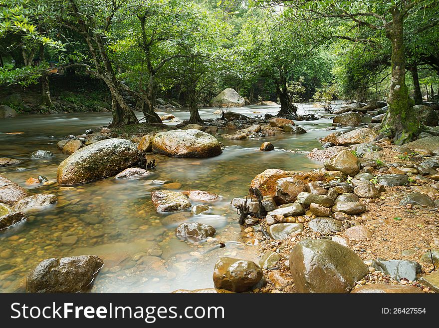 Water stream and stone in forest on rainy season. Water stream and stone in forest on rainy season