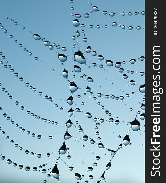 Spiderweb with dew on blue-green background