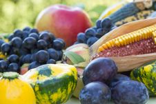 Organic Fruits And Vegetables Royalty Free Stock Photo