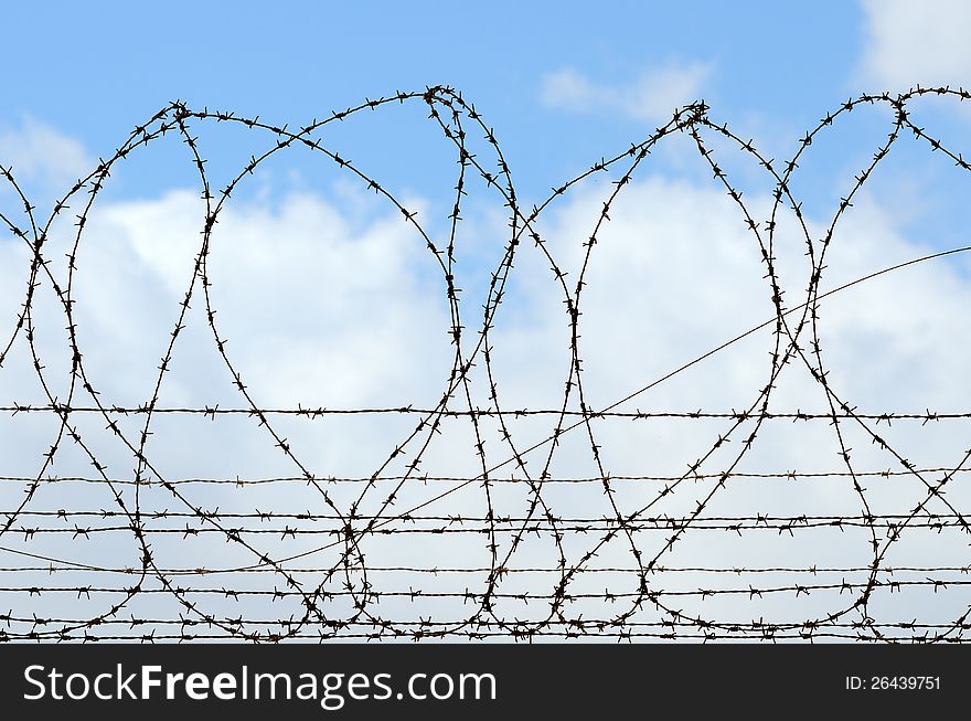 Fragment of barbed wires on sky background