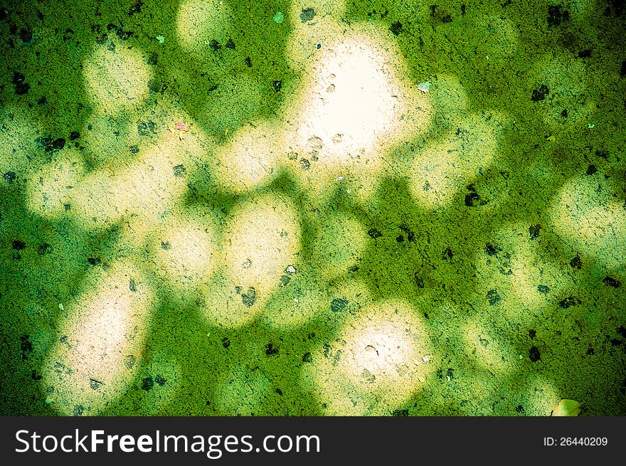 Light and shadow cast on a concrete background and given a green tint. Light and shadow cast on a concrete background and given a green tint.