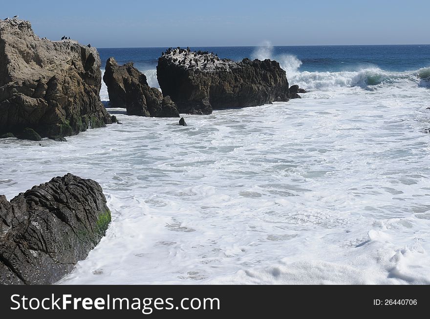 Surf, Sun Beach, Comorants