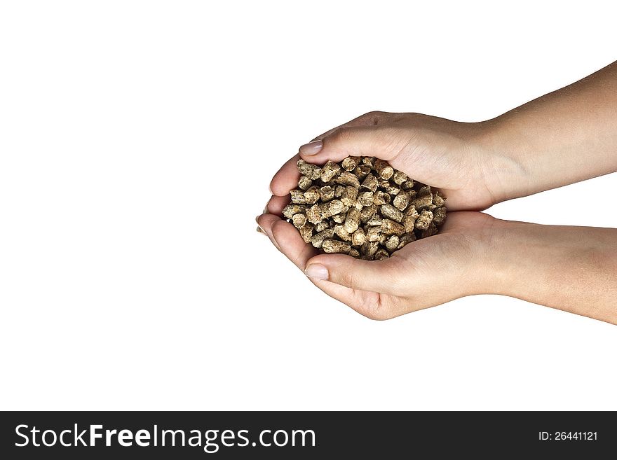 Hands with natural wood pellet on a white background. Hands with natural wood pellet on a white background.