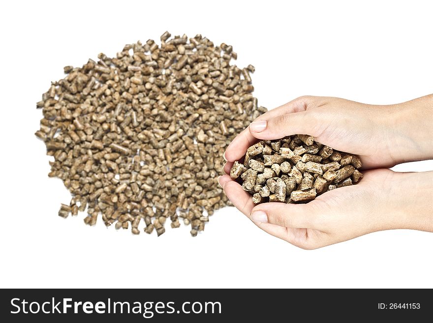 Hands with natural wood pellet. Hands with natural wood pellet.