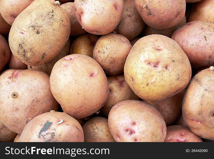 Potatoes raw vegetables food pattern in the field.