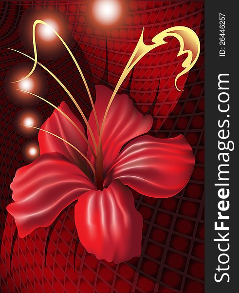 Fantastic orchid of dark red color with shining spheres against a velvet drapery. Fantastic orchid of dark red color with shining spheres against a velvet drapery