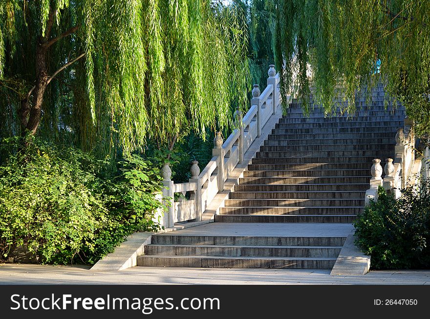The willows and steps look very beautifulã€‚