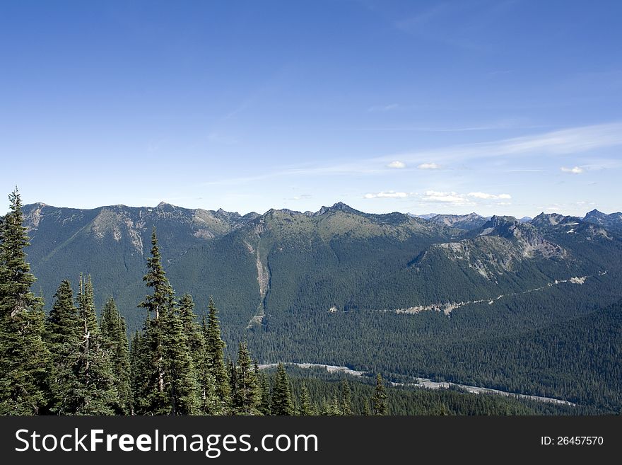 Mt. Rainier at Sunrise Point