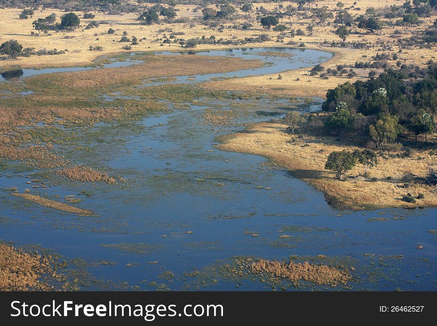 Okavango delta from the sky.