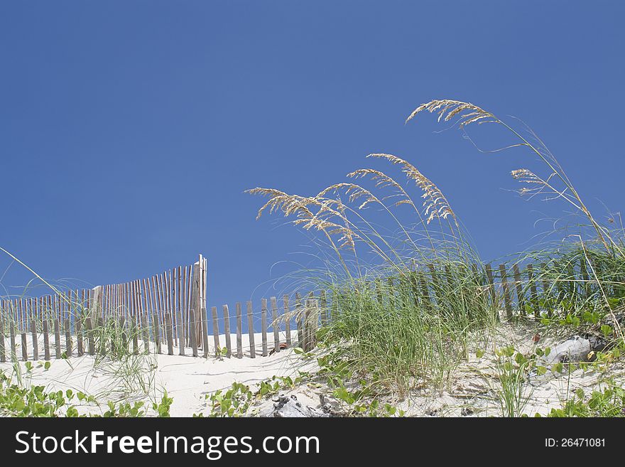 Deserted beach with wood picket fence. Deserted beach with wood picket fence