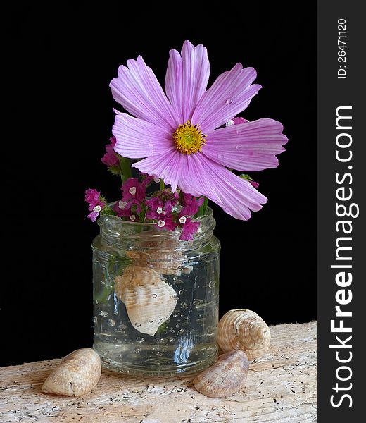 A Simple Arrangement of Flowers in a Jar. A Simple Arrangement of Flowers in a Jar