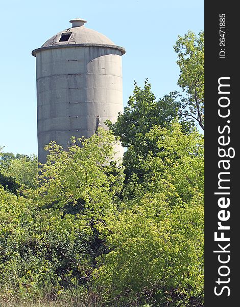 An old grain silo, unused and hidden by trees. Photo taken Aug 27, 2012. An old grain silo, unused and hidden by trees. Photo taken Aug 27, 2012.