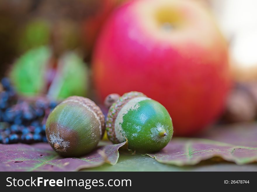 Two acorns in front of other autumnal fruits. Two acorns in front of other autumnal fruits