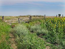 Old Wooden Gate In A Prairie Pasture Royalty Free Stock Photos