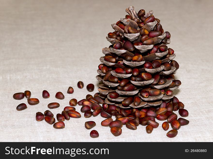 Pine cone with pine nuts on canvas