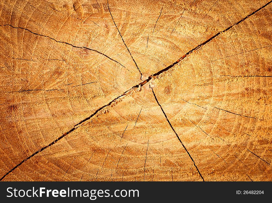 Wooden texture background