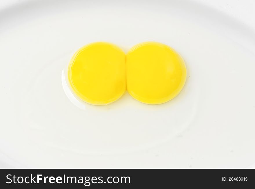 Portrait of double yolk derived from a single big egg.