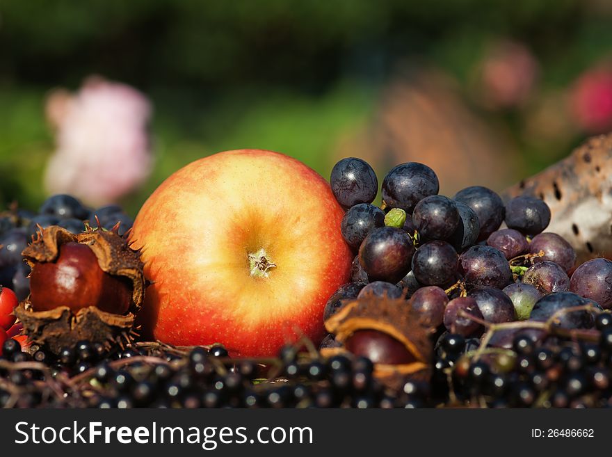 Apple Grapes And Wild Fruits