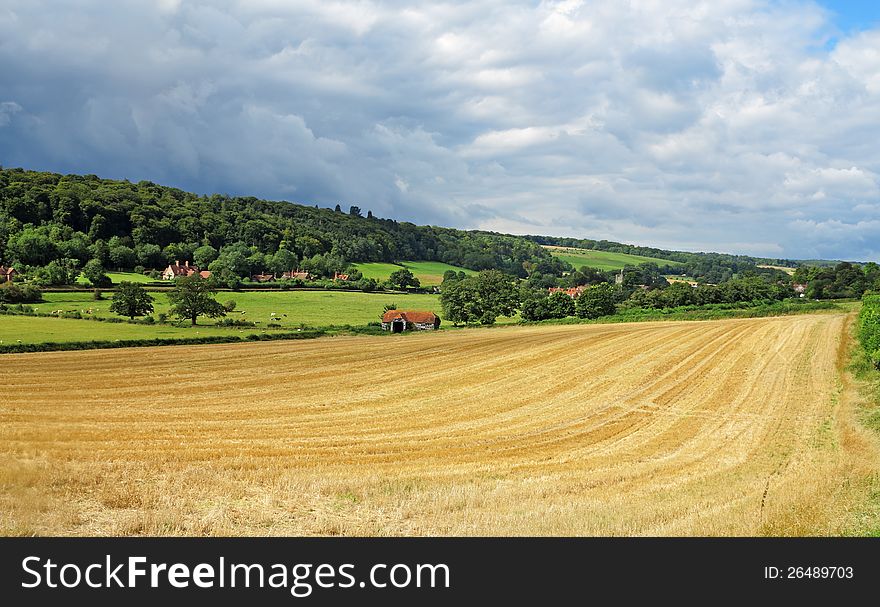 An English Rural Landscape with field of golden wheat stubble. An English Rural Landscape with field of golden wheat stubble