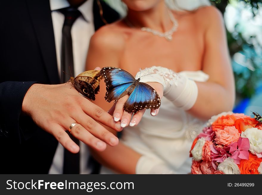 In the hands of the bride and groom sit big, beautiful bouquet of flowers and butterflies. In the hands of the bride and groom sit big, beautiful bouquet of flowers and butterflies