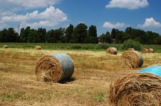 Hay Bales Stock Images