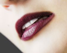 Lips Royalty Free Stock Photography Lips Royalty Free Stock Photography