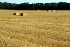 Bales Of Straw Stock Photography Bales Of Straw Stock Photography