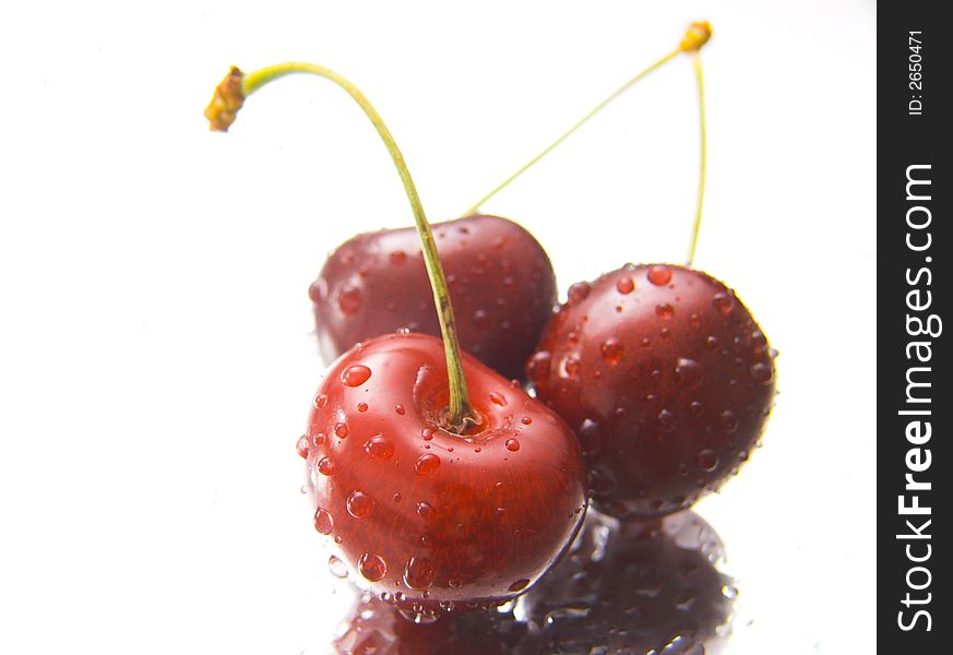 Wet cherries isolated over white background