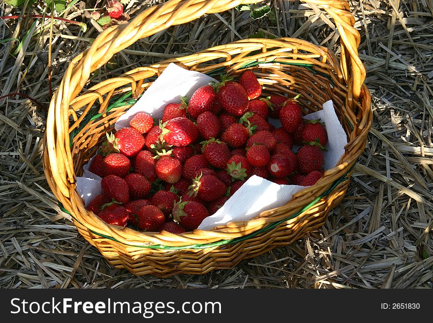 Strawberries In A Basket