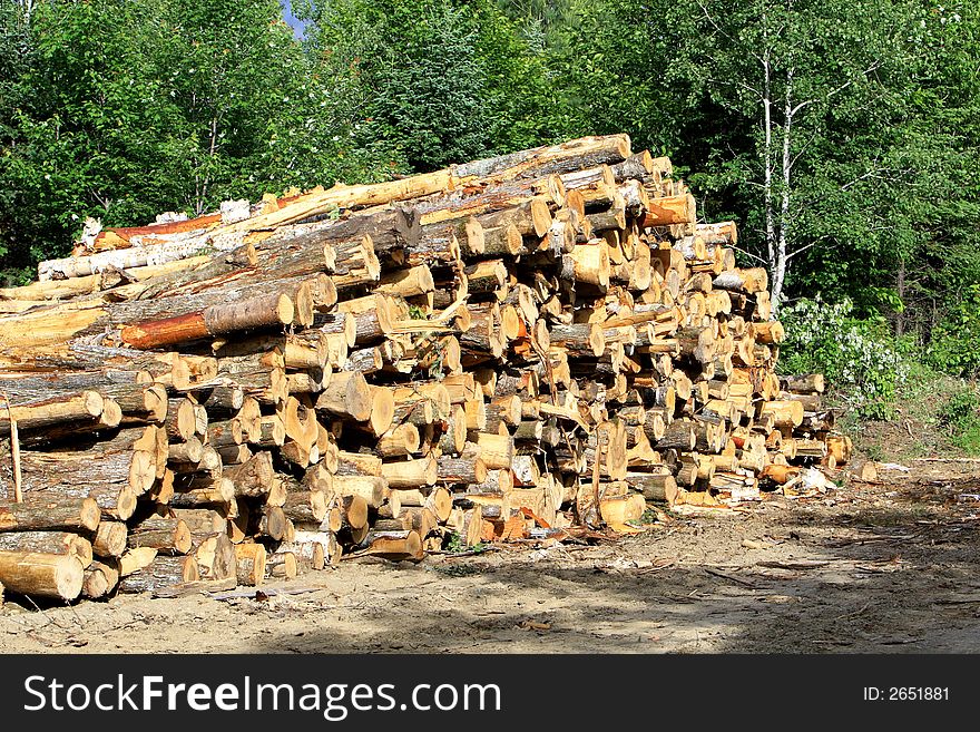 Timber stacked ready to go to the saw mill. Timber stacked ready to go to the saw mill